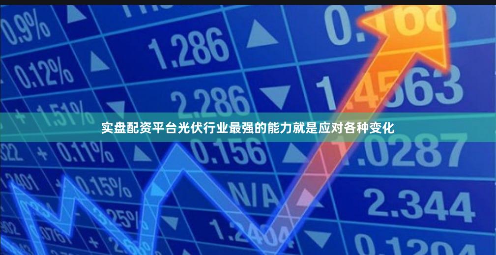 实盘配资平台光伏行业最强的能力就是应对各种变化